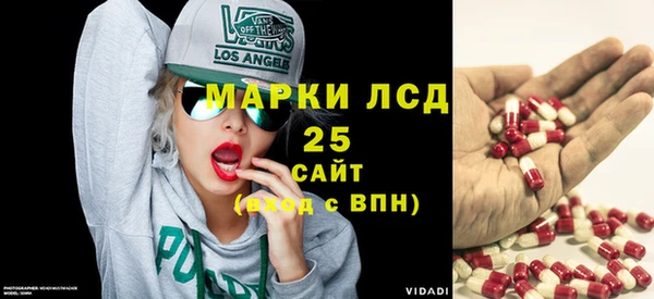 ПСИЛОЦИБИНОВЫЕ ГРИБЫ Алексеевка